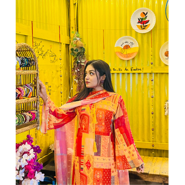 Pakistani Inspired 3 pcs